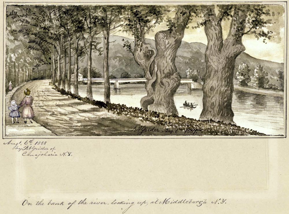 Collection VC22932; Volume 8, Item # 43